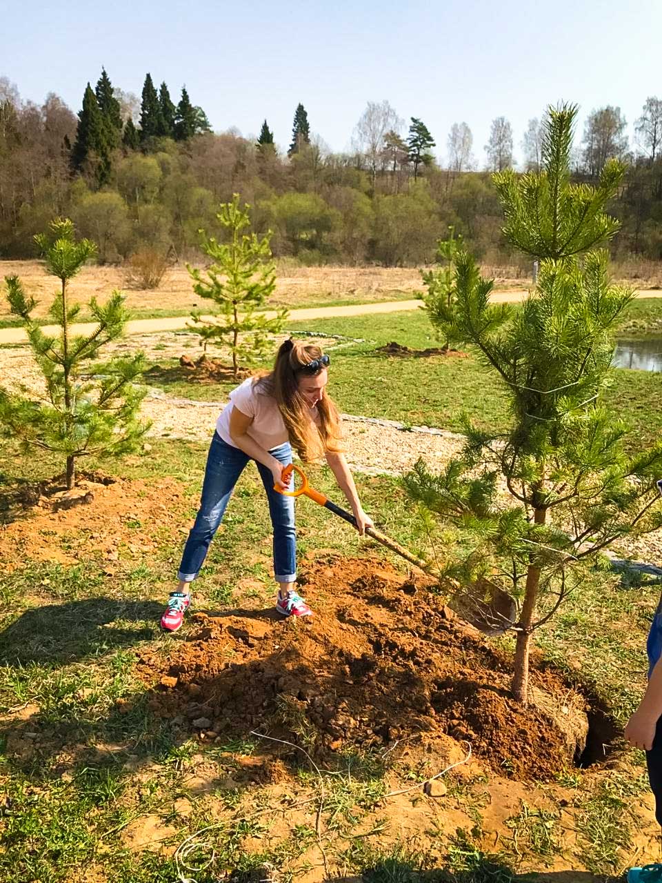 Акция Наш лес. Посади свое дерево. 2019 год - 7